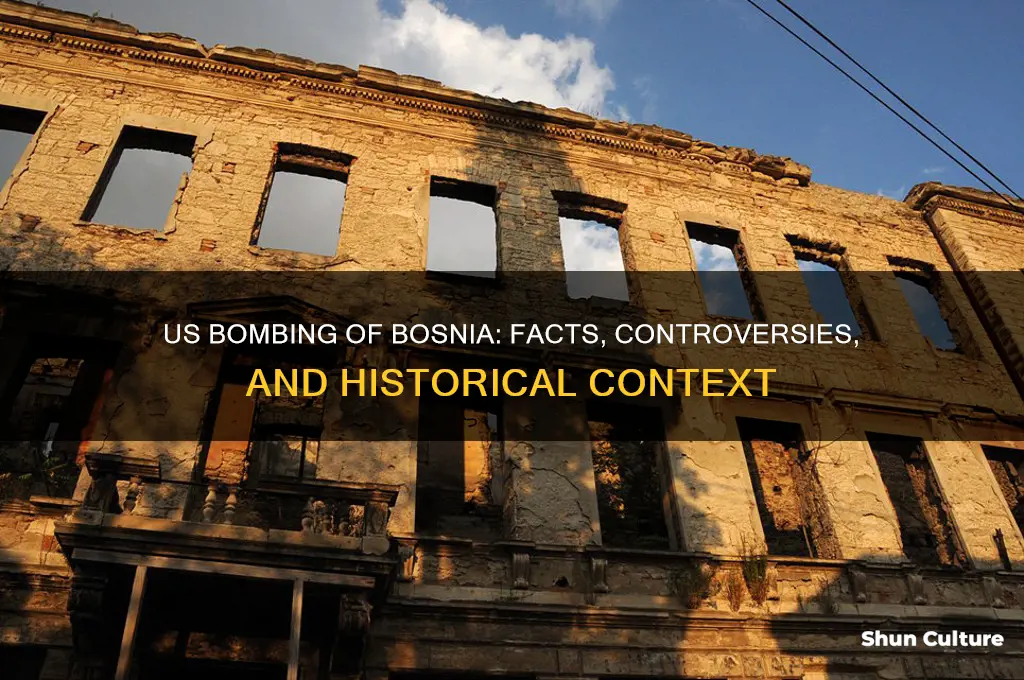 did us bomb bosnia