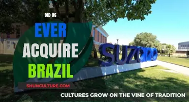 Did the U.S. Ever Attempt to Acquire Brazil? Historical Insights