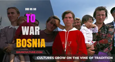 US Intervention in Bosnia: War or Humanitarian Mission?