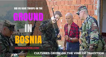 U.S. Ground Troops in Bosnia: Fact or Fiction?