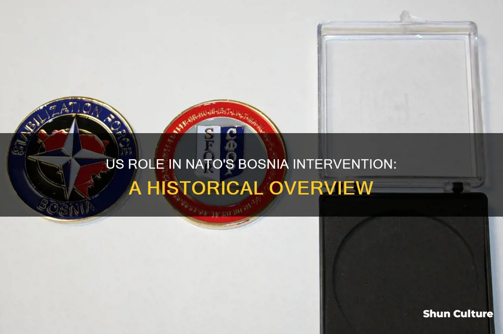 did us participate in nato bosnia