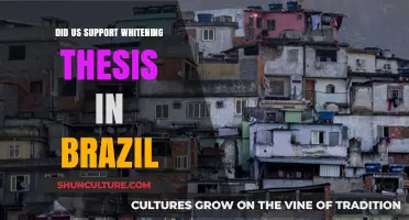 US Role in Brazil's Whitening Thesis: Historical Support Examined