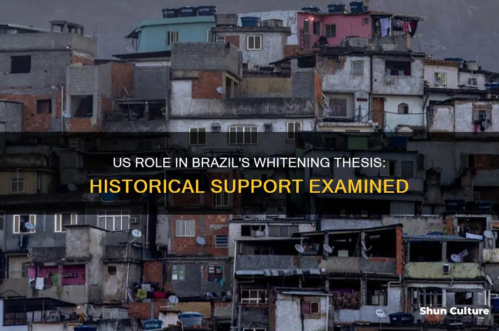 did us support whitening thesis in brazil