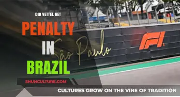 Vettel's Brazil Penalty: What Really Happened and Why It Mattered