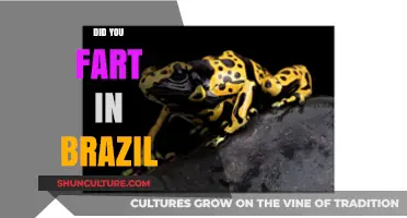 Did You Fart in Brazil? Exploring Cultural Norms and Etiquette