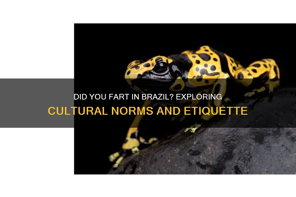 did you fart in brazil