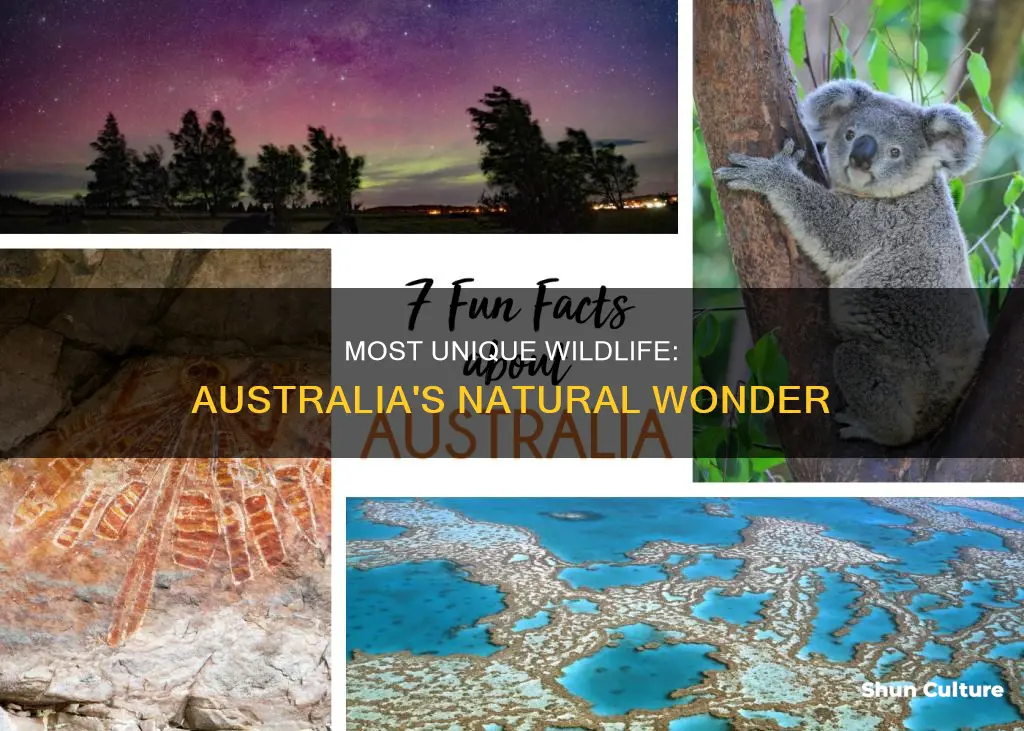 did you know australia has the highest number of