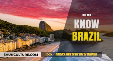 Discover Brazil's Surprising Secrets: Facts You Never Knew Before