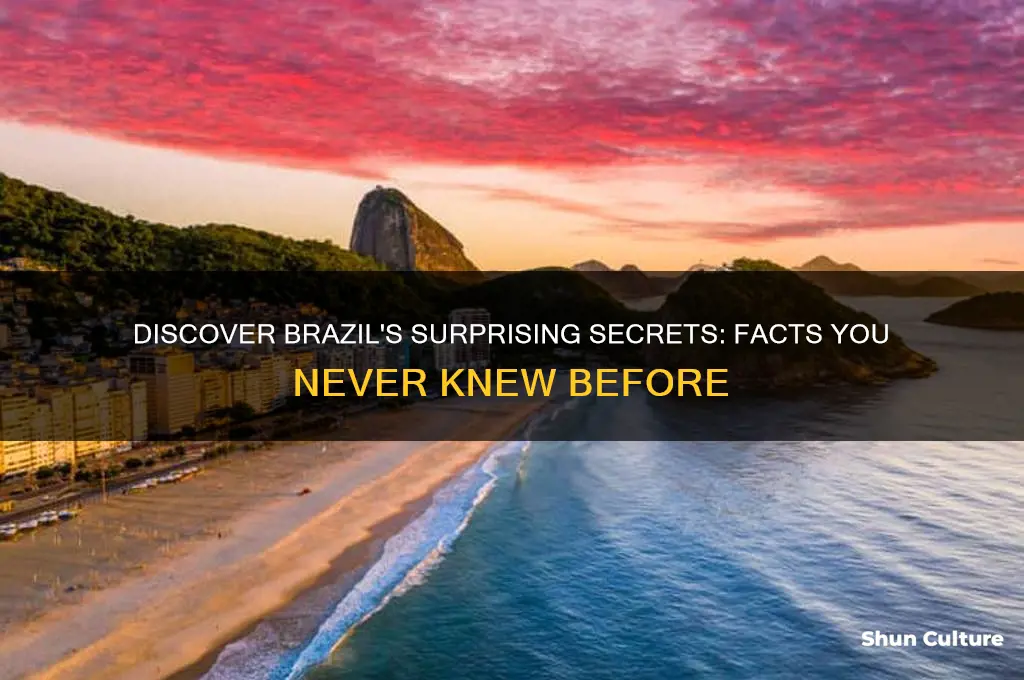 did you know brazil