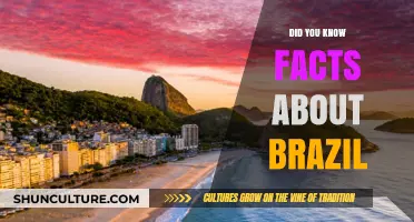 Unveiling Brazil's Surprising Secrets: Fascinating Facts You Never Knew