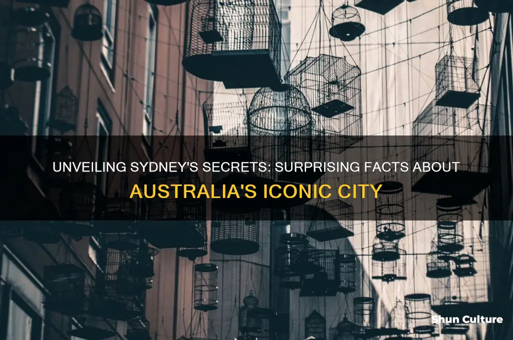 did you know facts about sydney australia