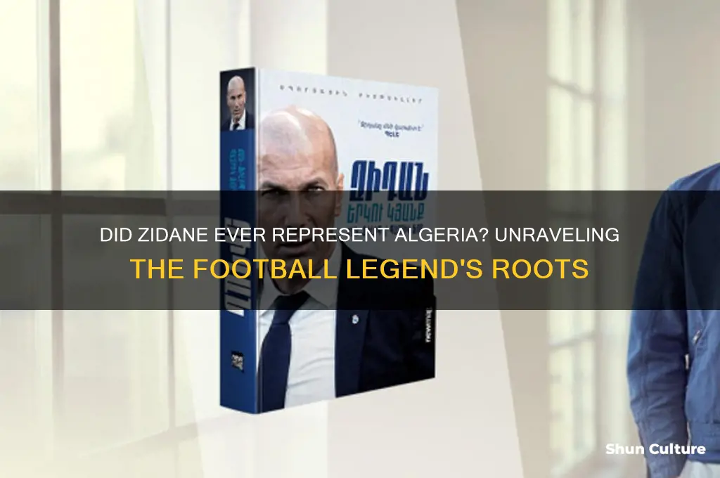 did zidane play for algeria