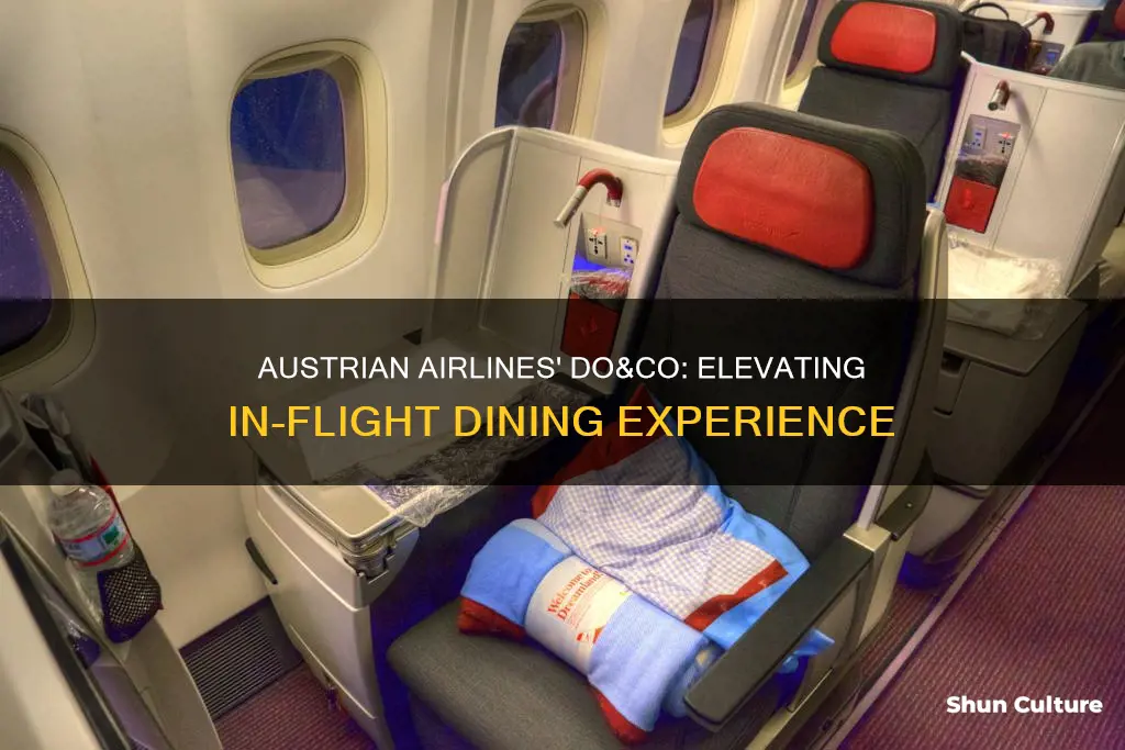 do&co austrian airlines