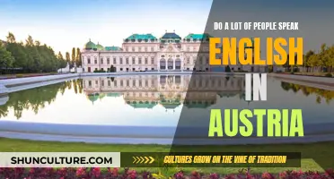 English in Austria: How Common Is It?