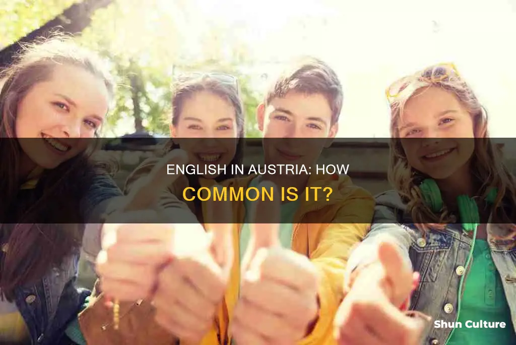 do a lot of people speak english in austria