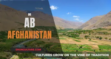 The Enduring Legacy of the 'Do Ab' Region in Afghanistan's History and Culture