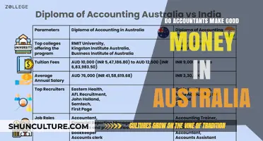 Accountants in Australia: High-Paying Career?