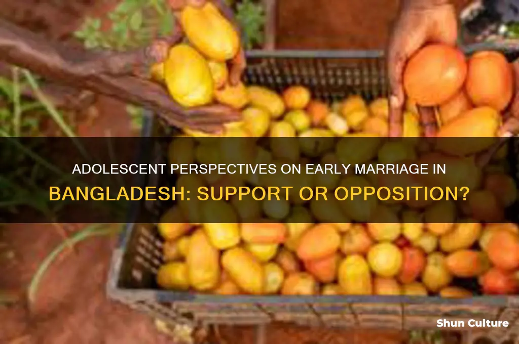 do adolescents support early marriage in bangladesh
