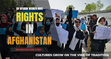 The Veiled Truth: Uncovering Afghan Women's Rights in Afghanistan