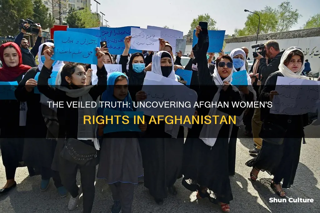 do afghan women have rights in afghanistan