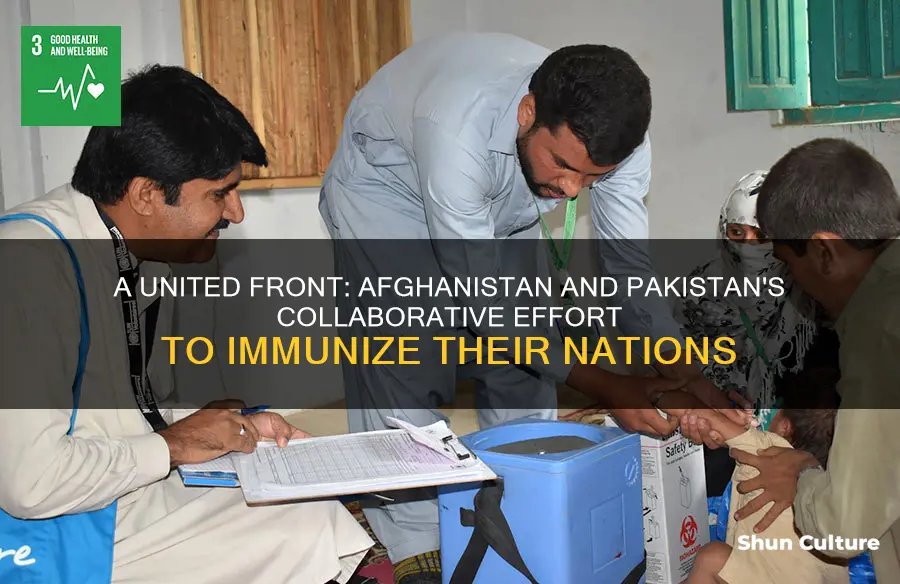 do afghanistan and pakistan synchronize immunization efforts