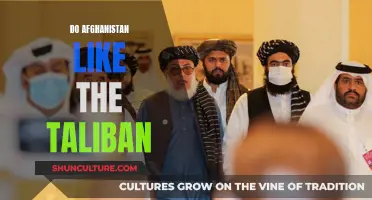 The Taliban's Rule: A Complex Relationship with the Afghan People