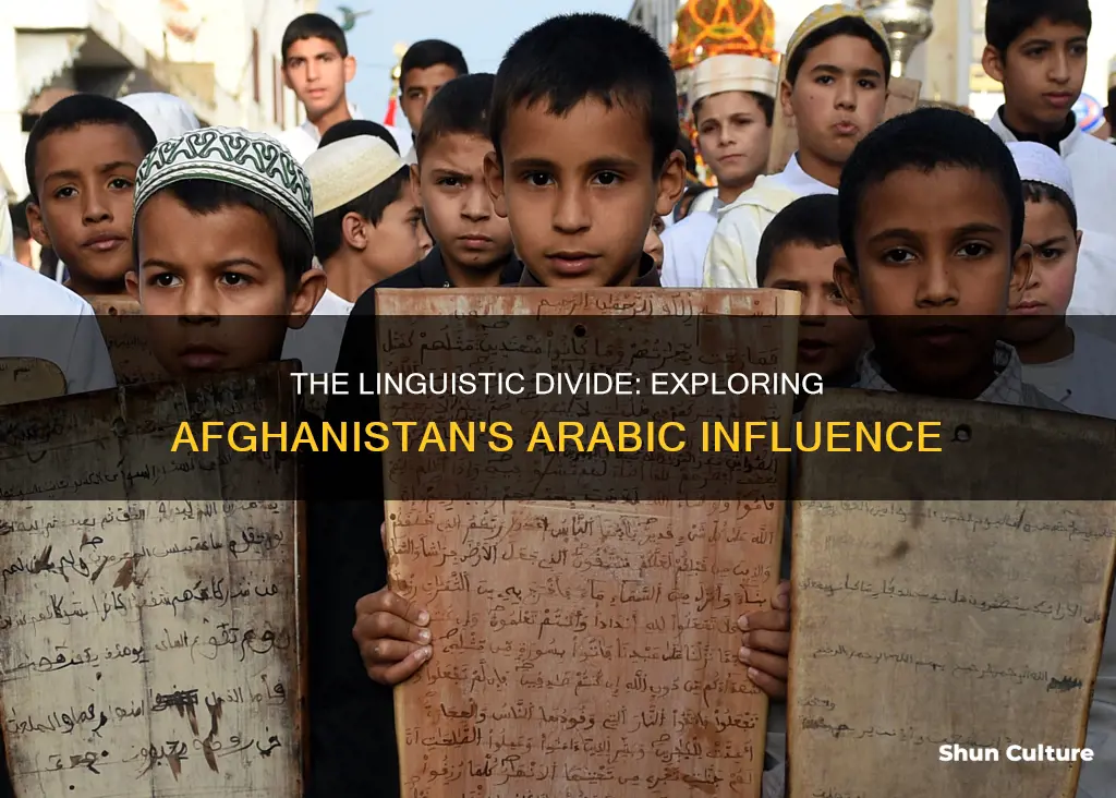 do afghanistan speak arabic