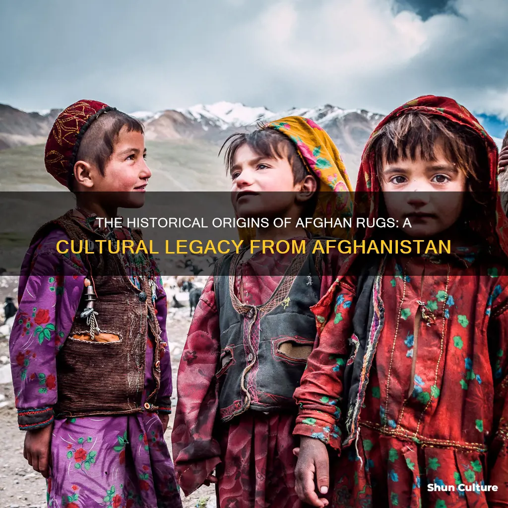 do afghans come from afghanistan