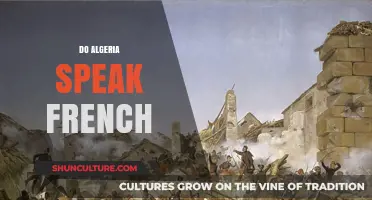Does Algeria Speak French? Exploring the Country's Linguistic Landscape