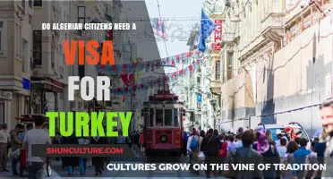 Algerian Citizens Traveling to Turkey: Visa Requirements Explained