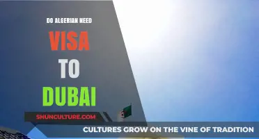 Algerian Travelers to Dubai: Visa Requirements Explained