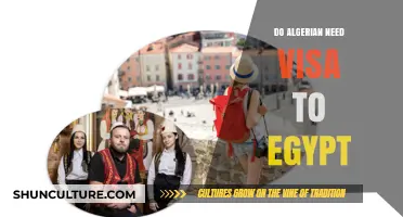 Algerian Travelers to Egypt: Visa Requirements Explained
