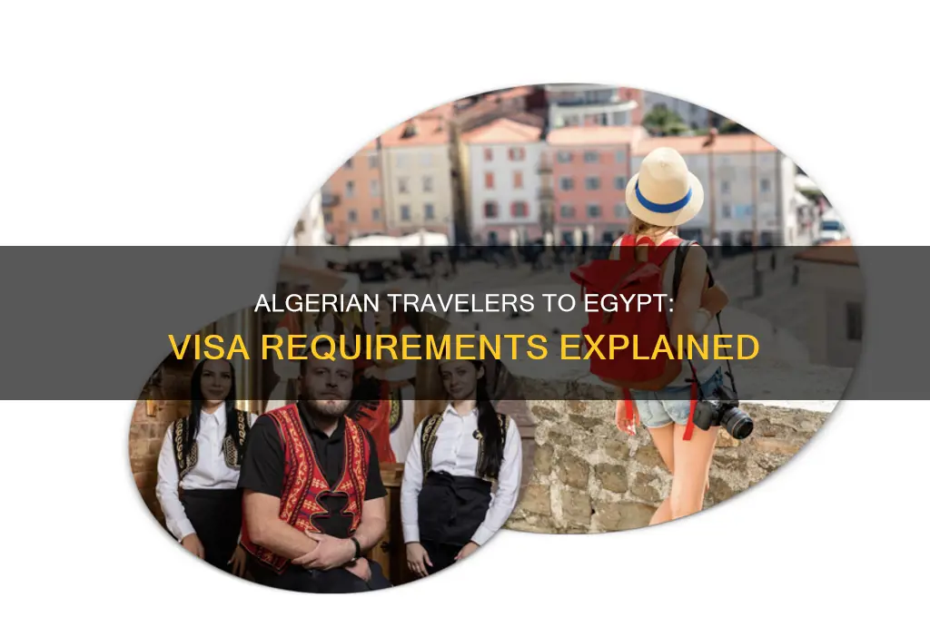 do algerian need visa to egypt