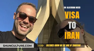 Algerian Travelers to Iran: Visa Requirements Explained