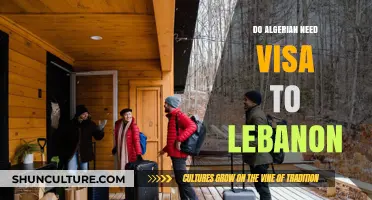 Algerian Travelers to Lebanon: Visa Requirements Explained