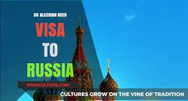 Algerian Citizens: Visa Requirements for Traveling to Russia Explained