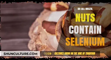 Brazil Nuts and Selenium: Uncovering the Truth About Their Content