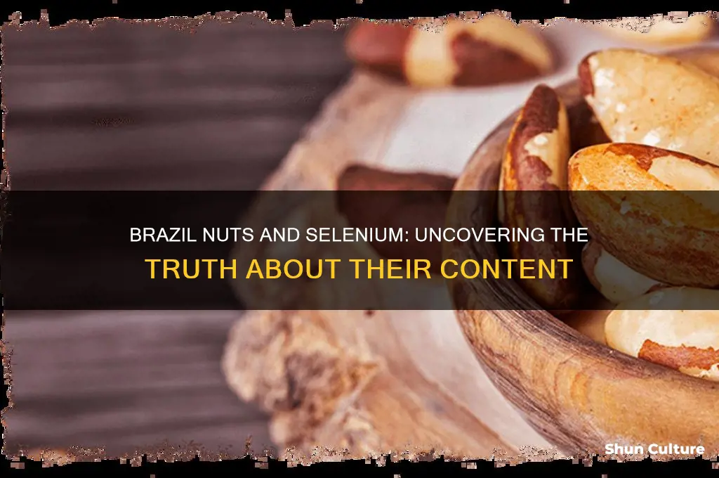 do all brazil nuts contain selenium