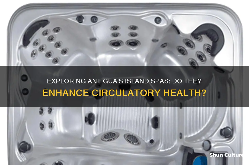 do all island antigua spas have a circulatory system