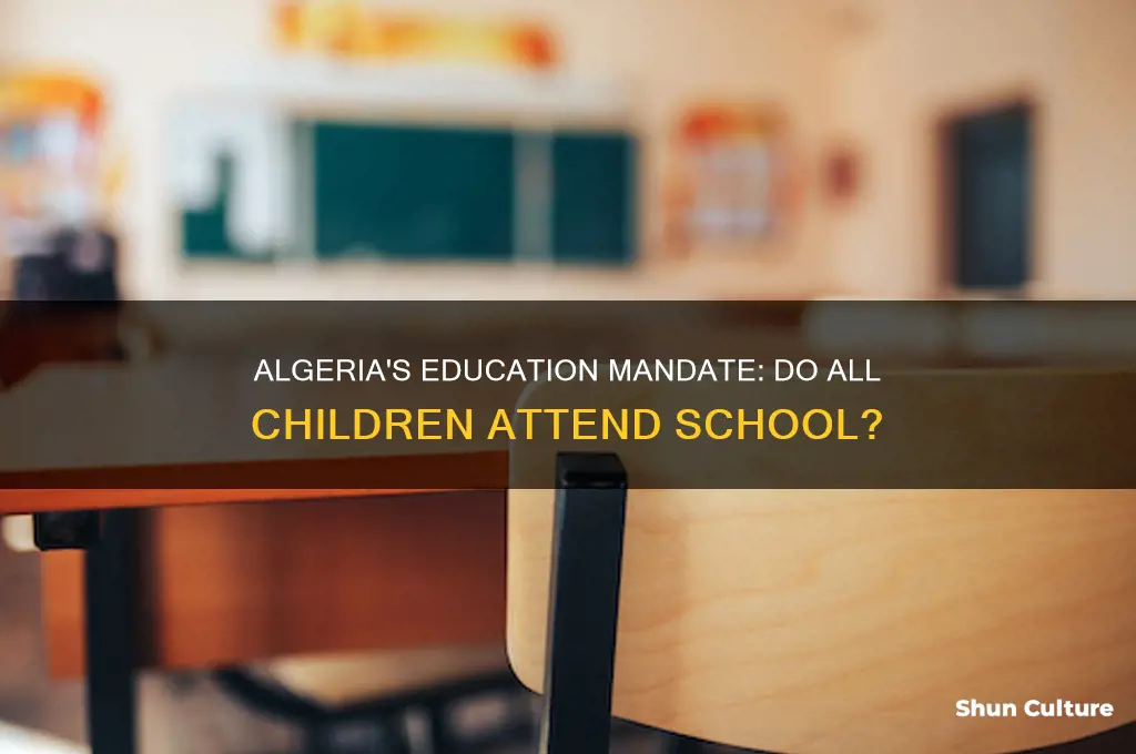 do all kids in algeria have to attend school