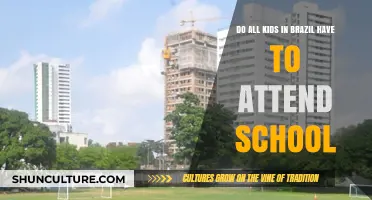 Is School Mandatory for All Children in Brazil?