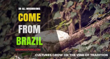 Exploring Mushroom Origins: Are All Varieties From Brazil?