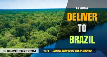 Does Amazon Deliver to Brazil? Shipping Options and Considerations