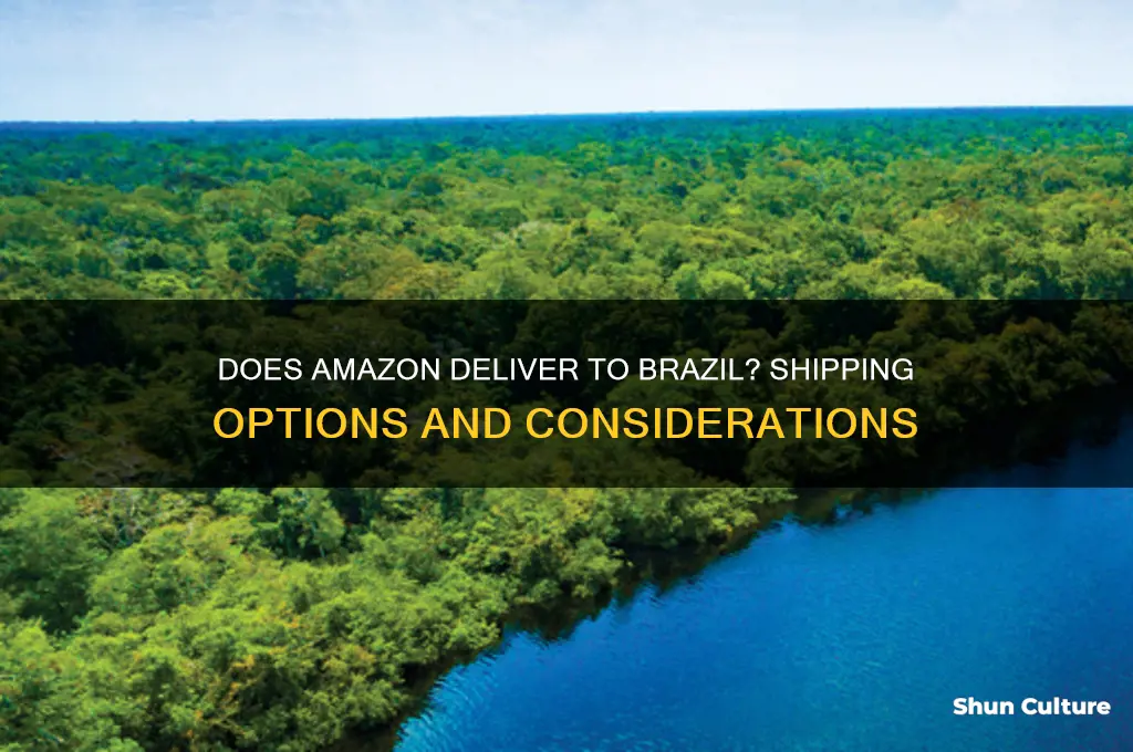 do amazon deliver to brazil