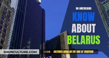 Americans' Awareness of Belarus: A Curious Exploration