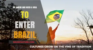 Do Americans Need a Visa to Enter Brazil? A Quick Guide