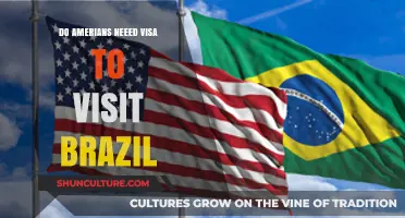 Do Americans Need a Visa to Visit Brazil? A Travel Guide