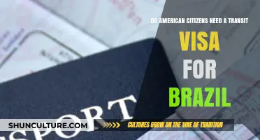 Do American Citizens Need a Transit Visa for Brazil?