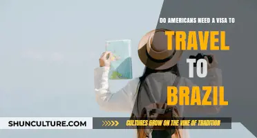 Traveling to Brazil: Visa Requirements for American Citizens Explained