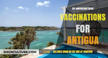 Traveling to Antigua: Essential Vaccination Requirements for US Citizens